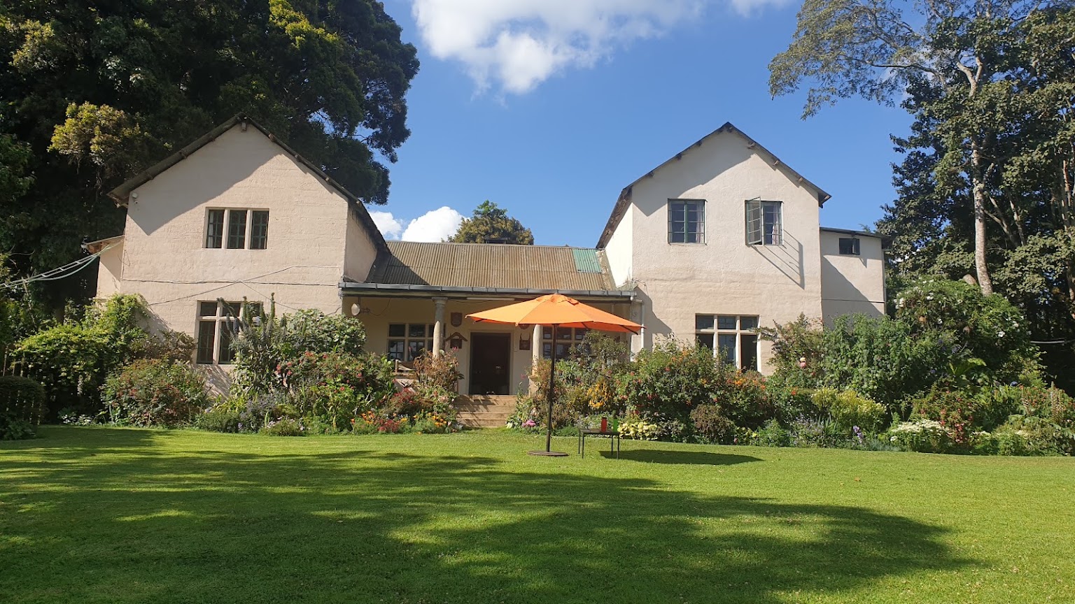 Kiambethu Tea Farm Day Tour From Nairobi